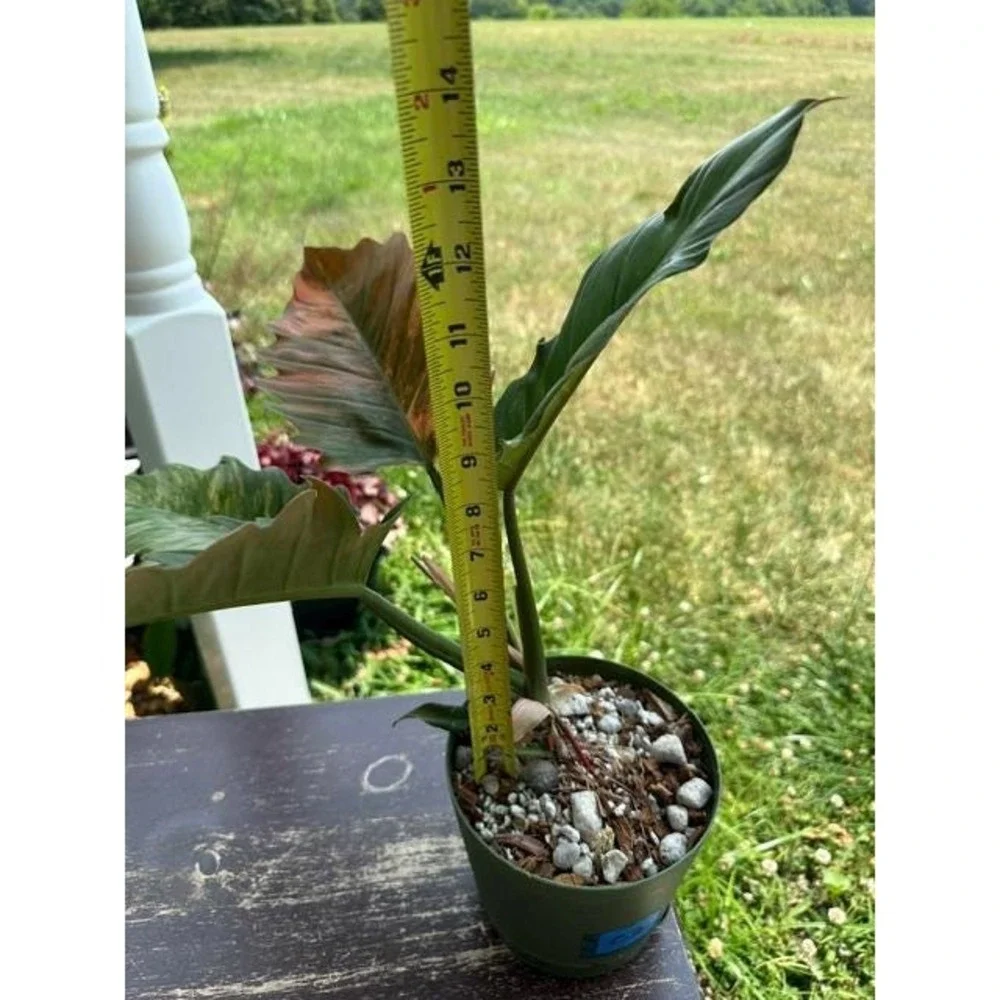 N/A this listing